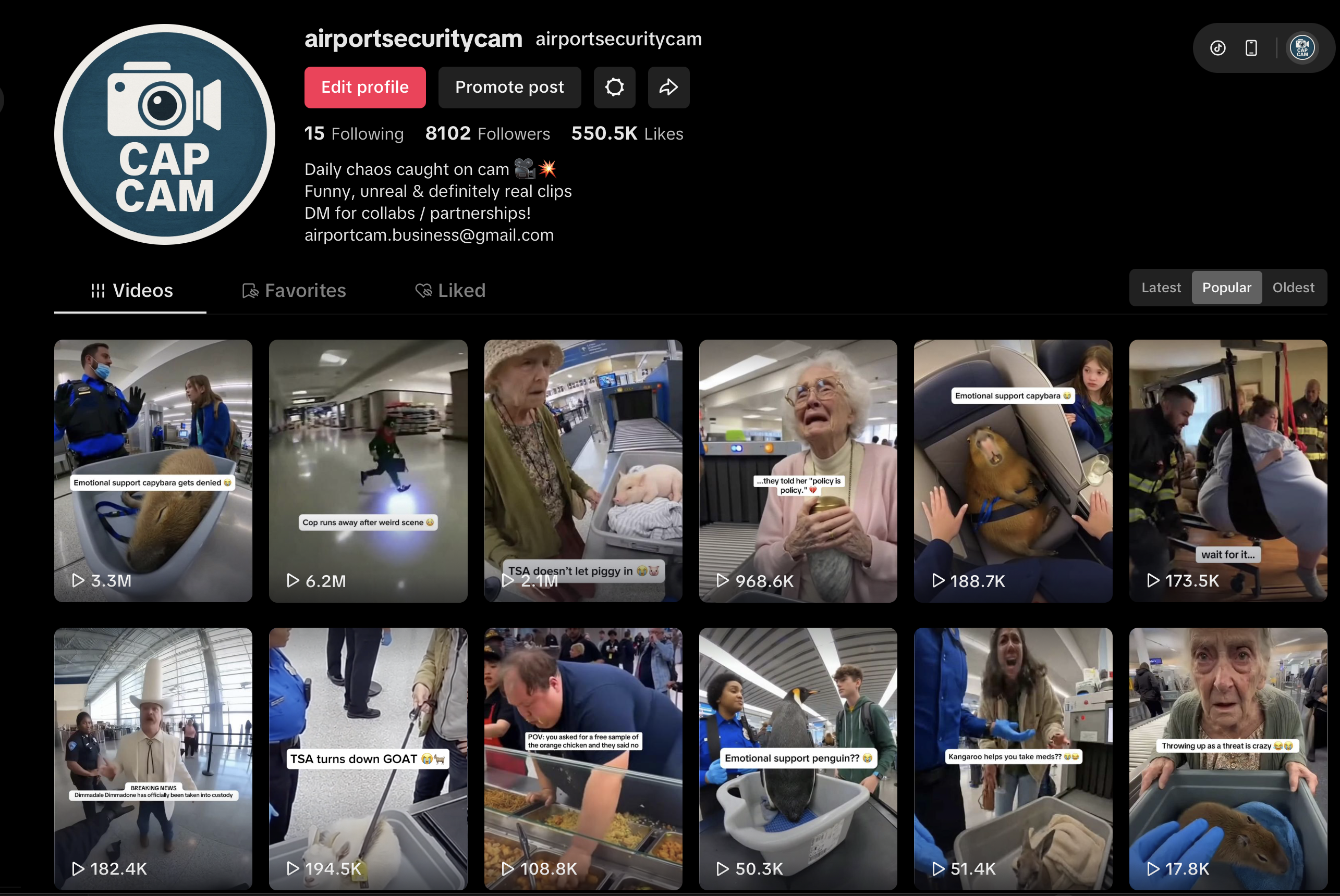 Airport Security Cam screenshot